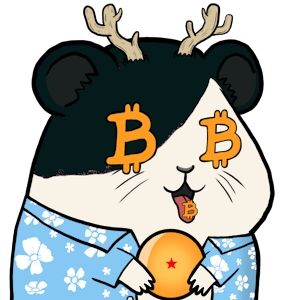 Bitcoin Hamsters Ordinals on Ordinal Hub | #62494522
