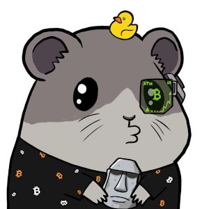 Bitcoin Hamsters Ordinals on Ordinal Hub | #62498251